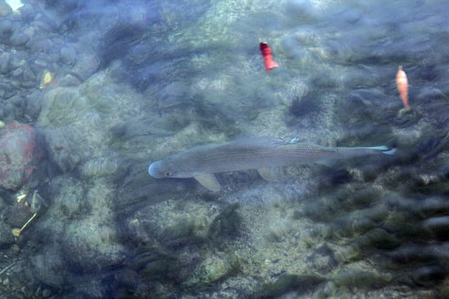 Красивые деревни Прованса