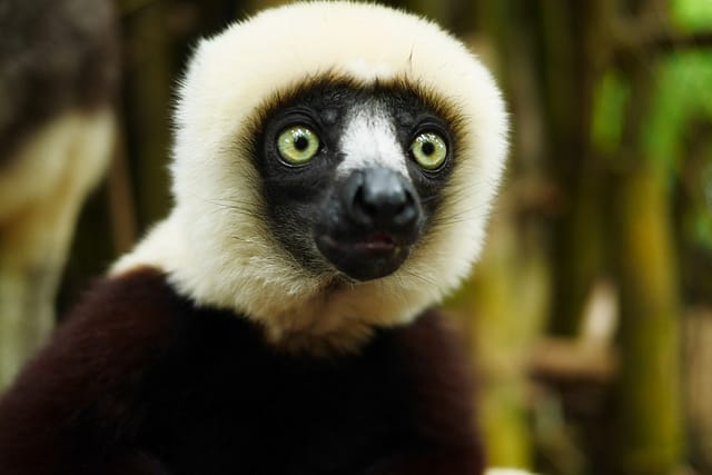 Дешевые страны для путешествий