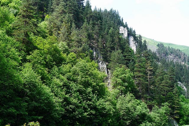 Грузия Тушетия что посмотреть