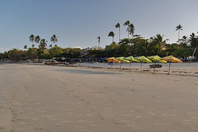 Жерикоакоара Бразилия