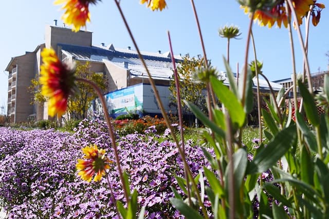 Как не болеть вообще