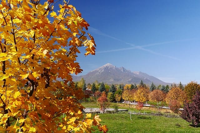 Как не болеть вообще