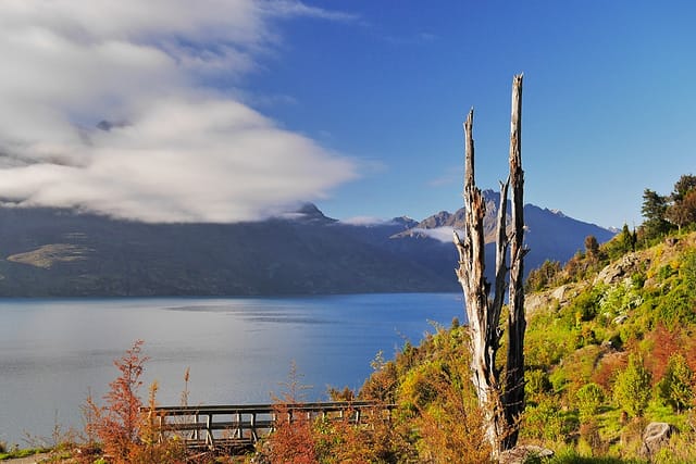 Квинстаун Новая Зеландия