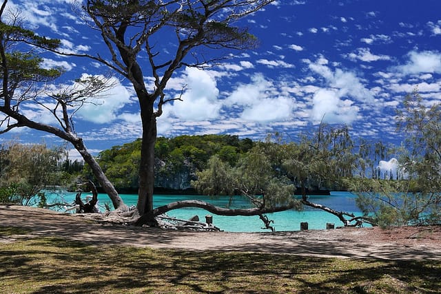 Остров Ile des Pins