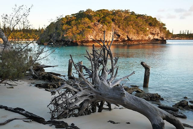 Остров Ile des Pins