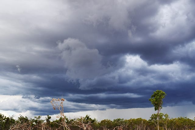 Австралийский аутбэк