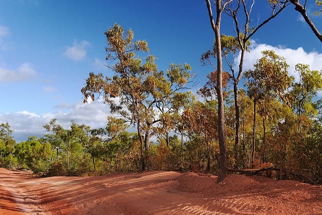 Австралийский аутбэк