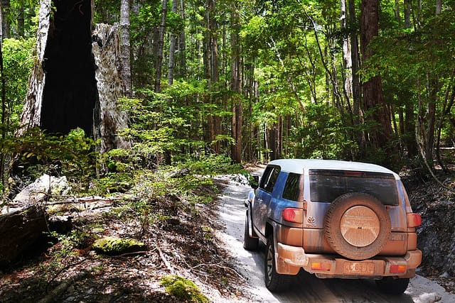 Fraser Island travel