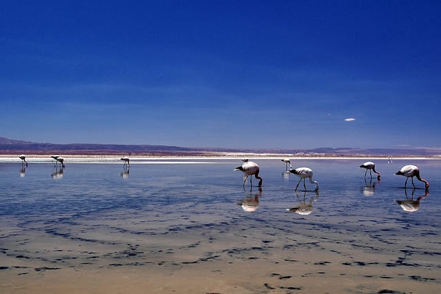 Сан Педро-де-Атакама: что посмотреть