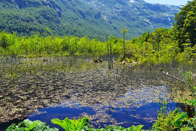 Патагония Чили