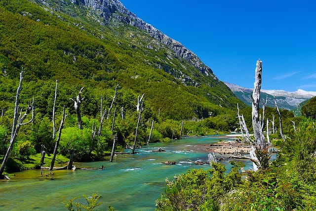 Патагония Чили