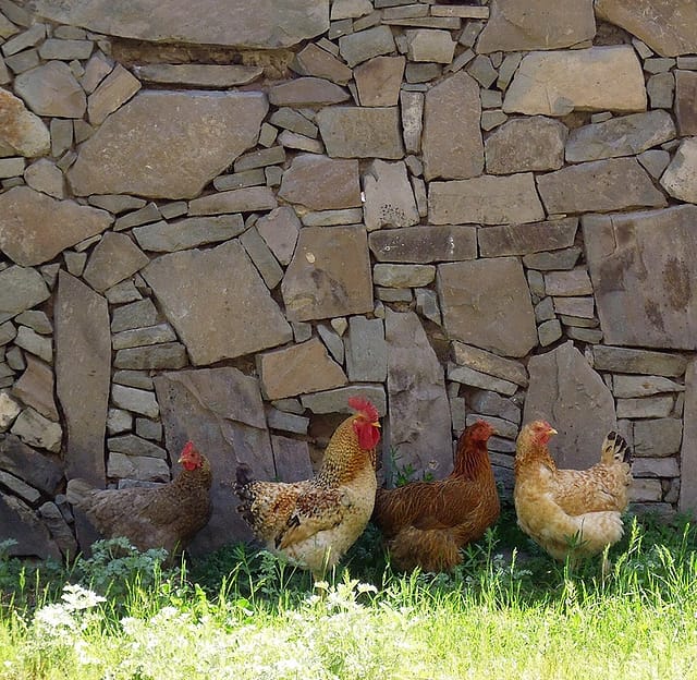Грузия самостоятельно: что посмотреть