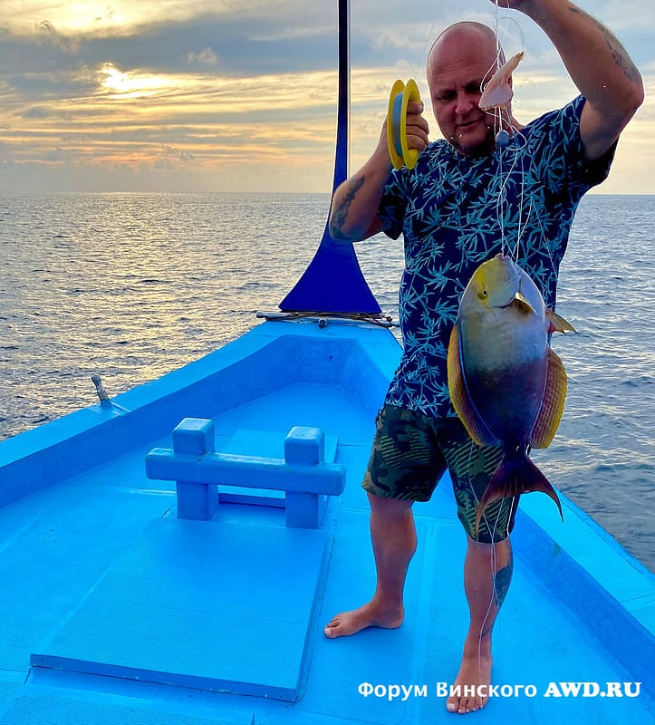 OBLU SELECT at Sangeli отзывы