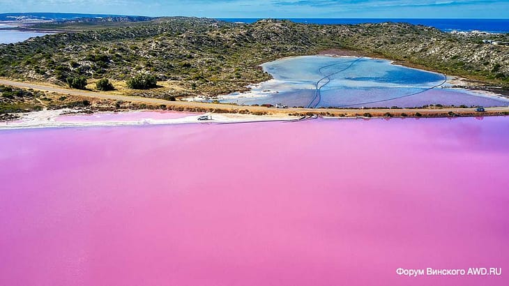 Розовое озеро Hutt Lagoon