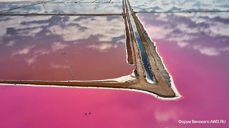 Розовое озеро Hutt Lagoon