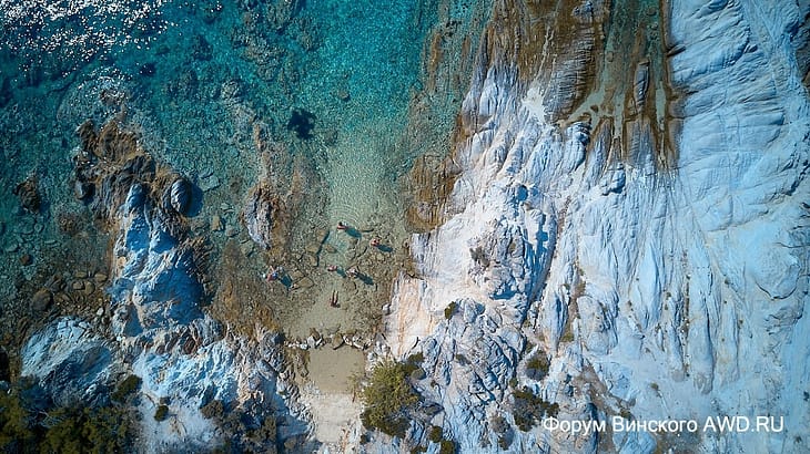 Кавуротрипес Ситония