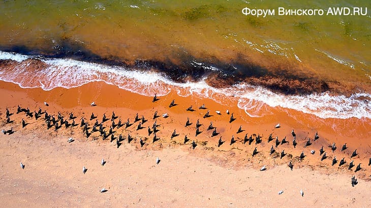 Francois Peron Park WA