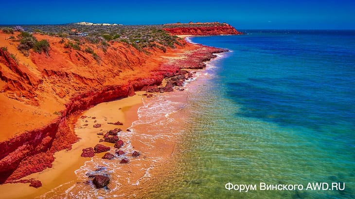 Cape Peron Skipjack Francois Peron