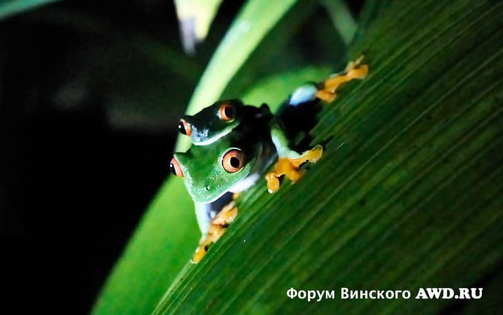 Коста-Рика что посмотреть