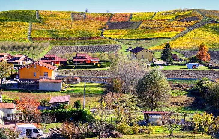 Вина Пьемонта Италия