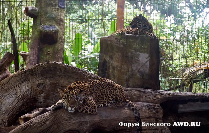 Коста-Рика что посмотреть