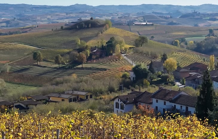 Вина Пьемонта Италия