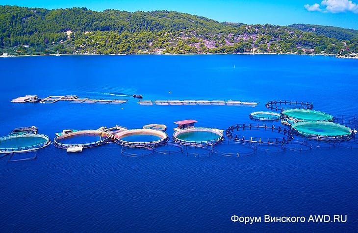 Пляж Фтероти Ситония