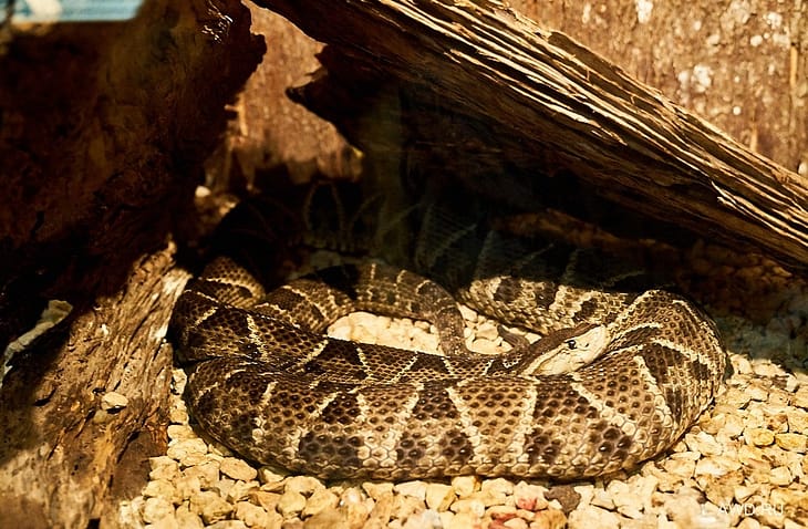 Коста-Рика интересные места