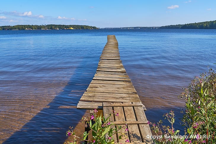 Осень на даче