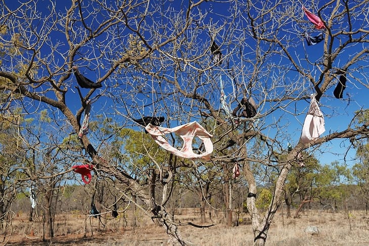 Австралийский аутбэк