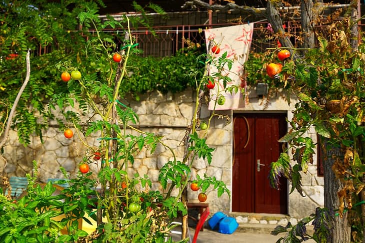 Остров Млет, Прожурска Лука отзывы