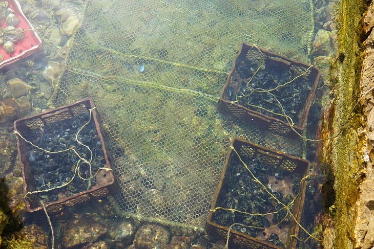 Остров Млет, Прожурска Лука отзывы