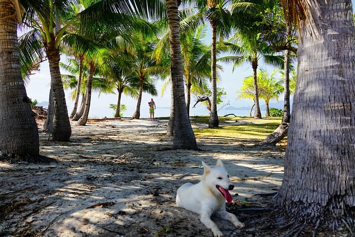 Лучшие пляжи на Филиппинах: Остров Малкапуя