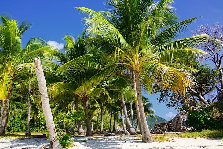 Лучшие пляжи на Филиппинах: Остров Малкапуя