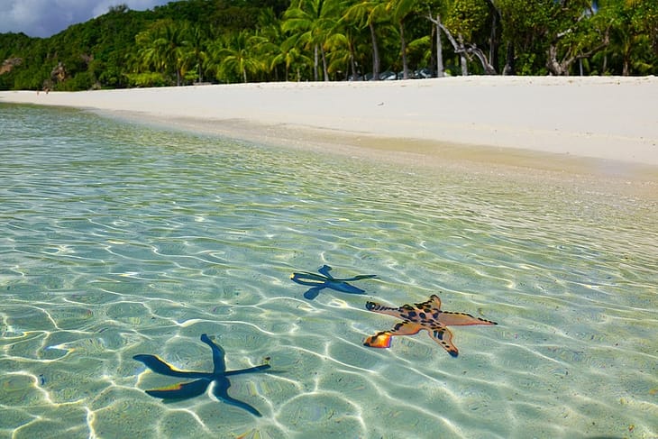 Лучшие пляжи на Филиппинах Малкапуя