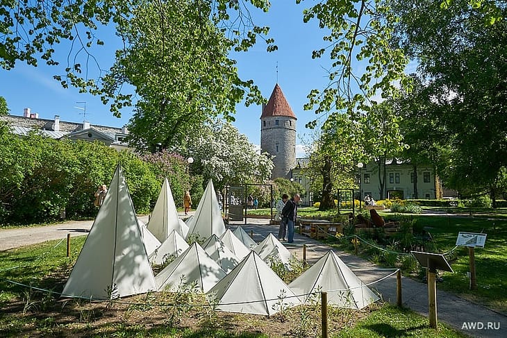 Таллин за два дня