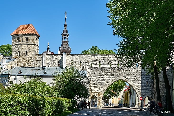 Таллин что посмотреть