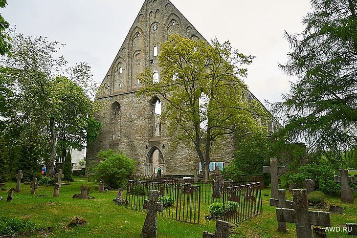 монастырь Святой Бригитты Таллин