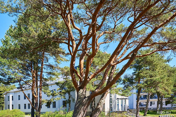 Laulasmaa Spa Hotel Эстония