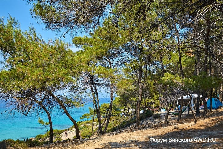 Пляж Кавуротрипес Халкидики