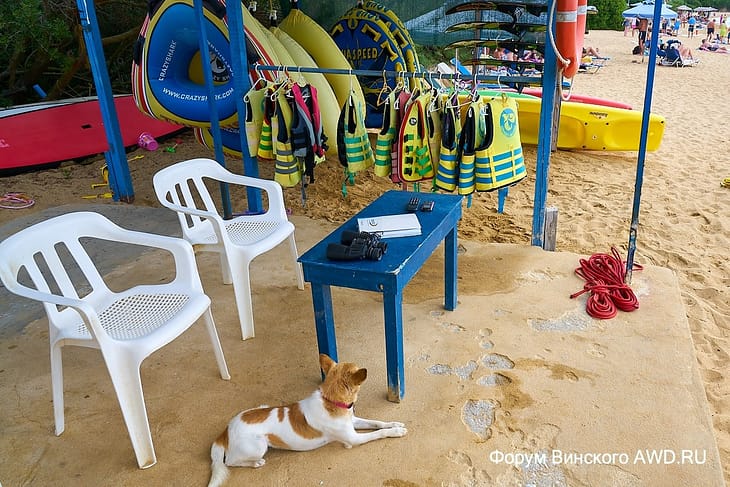 Пляж Agios Paraskevi Скиатос