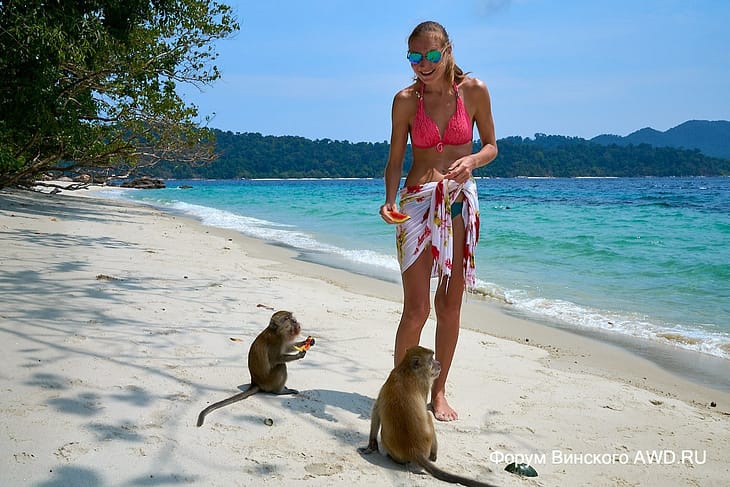 Экскурсии с Ко Липе на Ко Донг