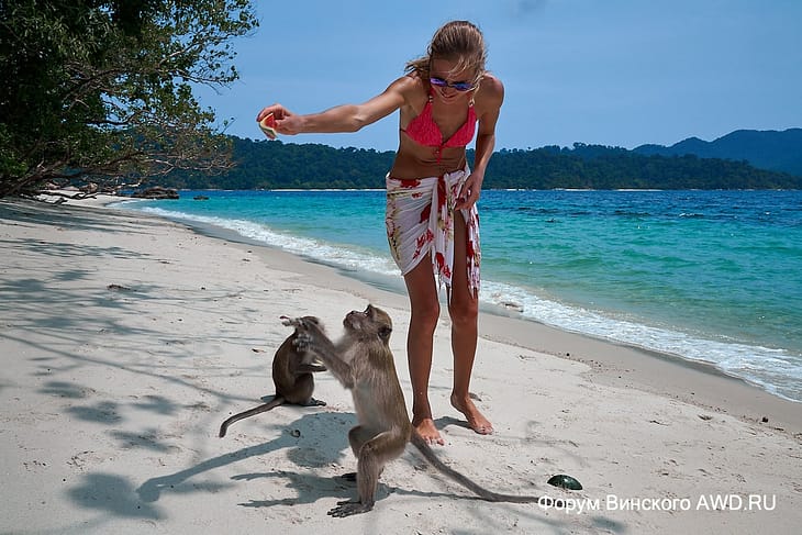 Ко Бутанг отзывы