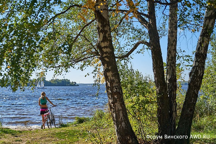 Осень на даче