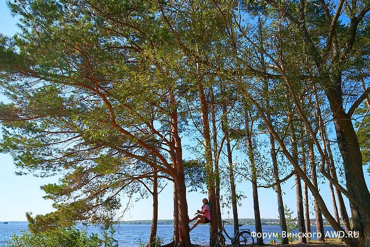 Что делать на даче осенью