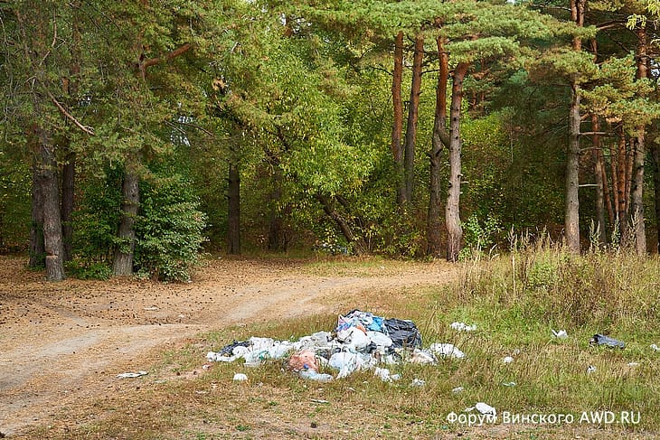 Помойка в лесу осенью