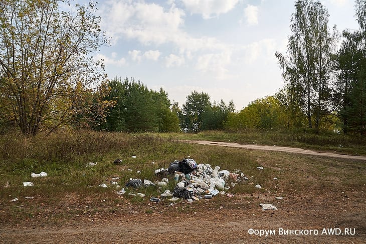 Что остается после отдыхающих летом в лесу