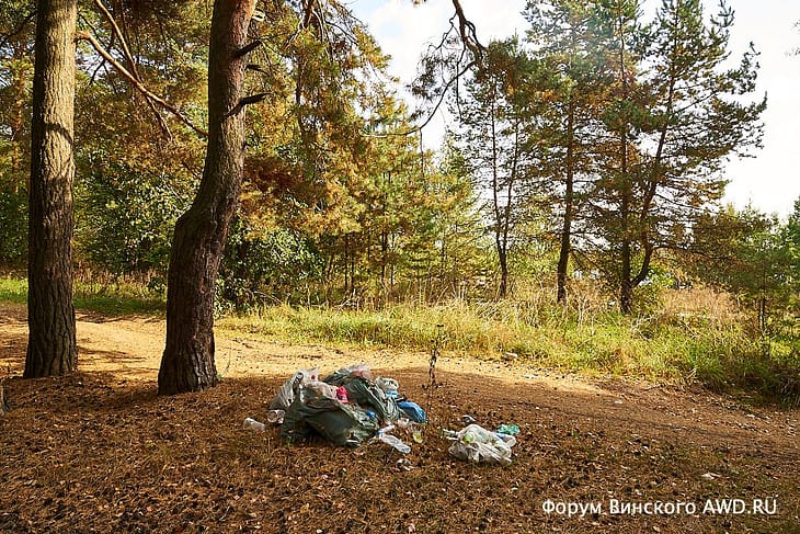 Что остается после отдыхающих летом в лесу