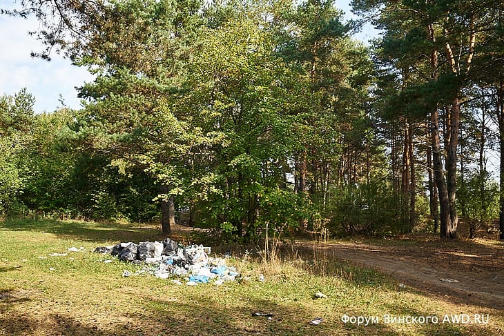 Что остается после отдыхающих летом в лесу