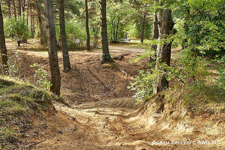 Во что превратили лес в Жостово